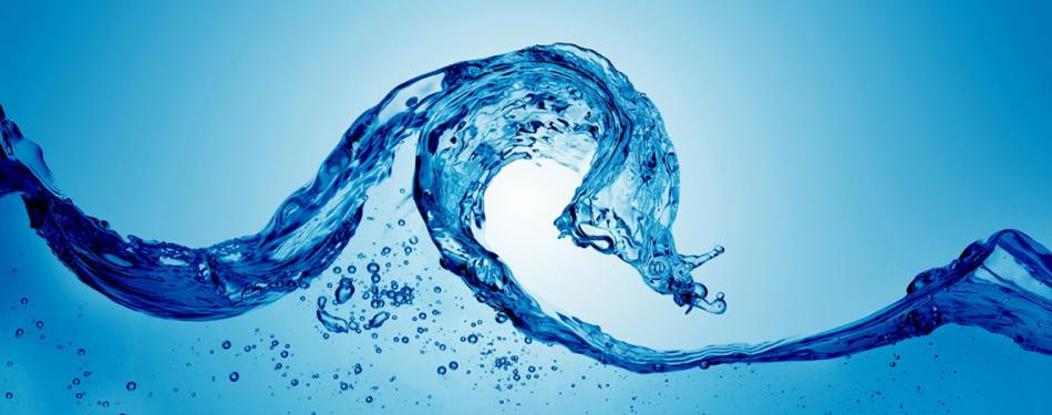 Зачем нужна антипаразитарная программа?