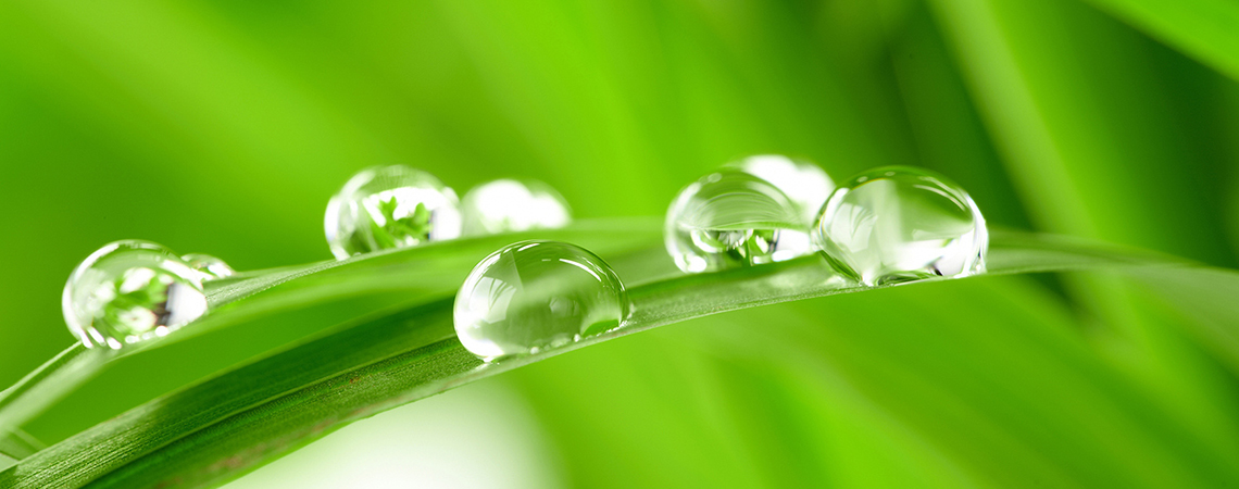 Очищение организма