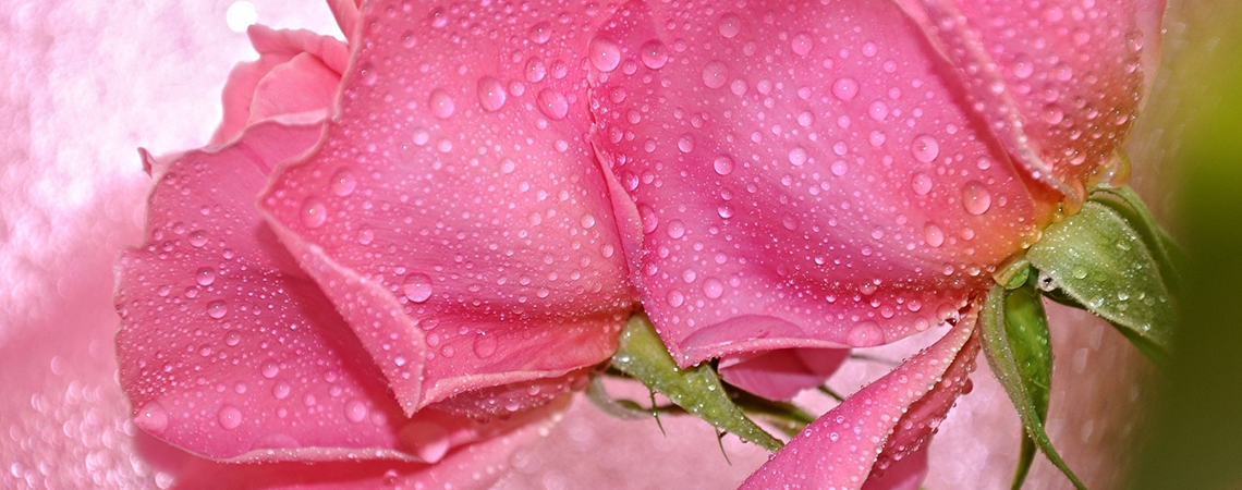 Жидкие кристаллы в косметике LEVRANA