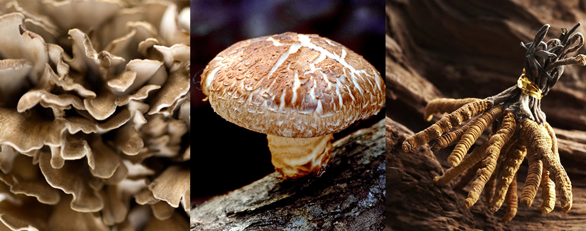 Флавополисан