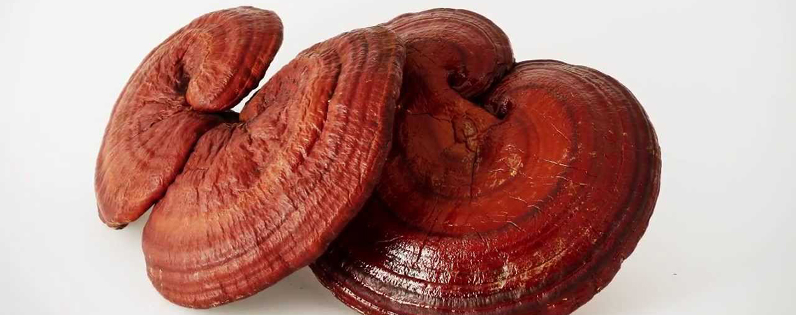 Врачи о рейши