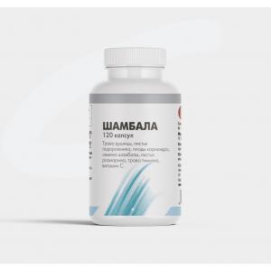 Шамбала (120 кап)